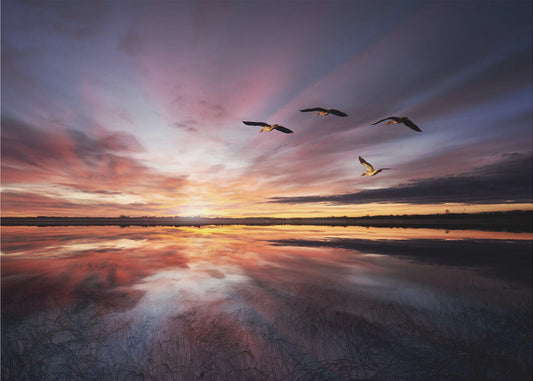 Morning mood.. | Poster