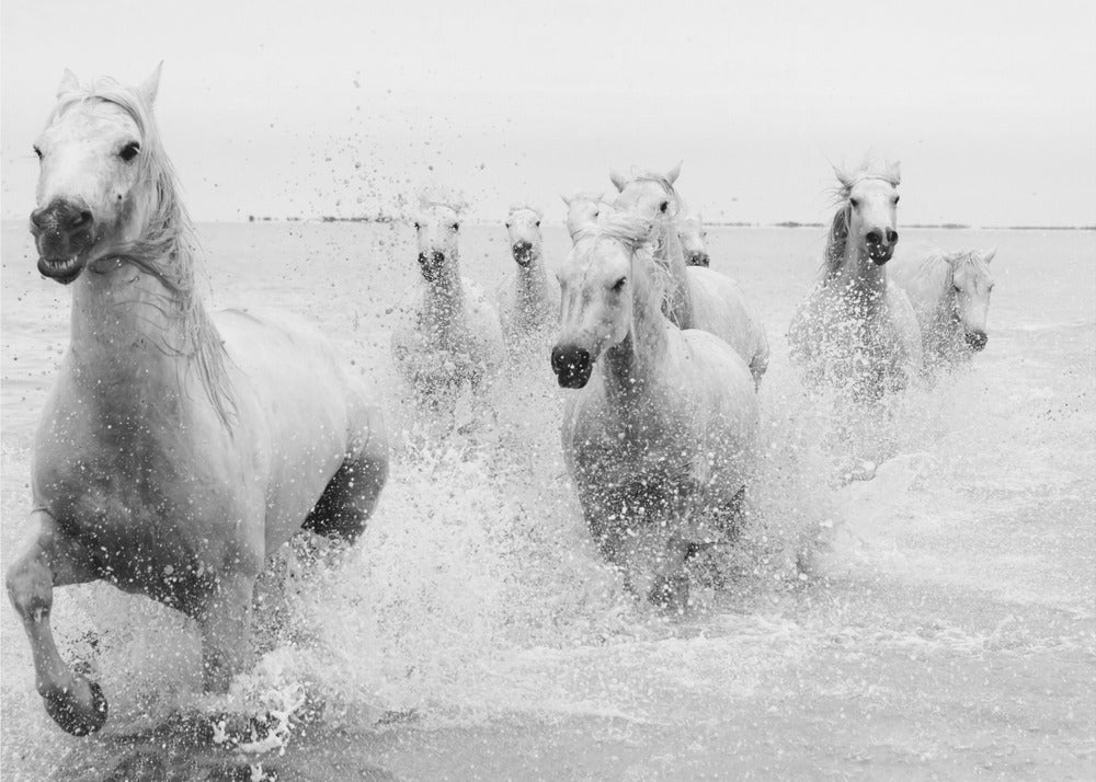 We are coming | Wallpaper