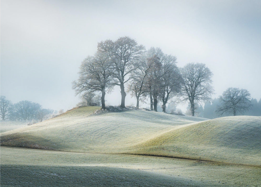 It is not in tuscany | Poster