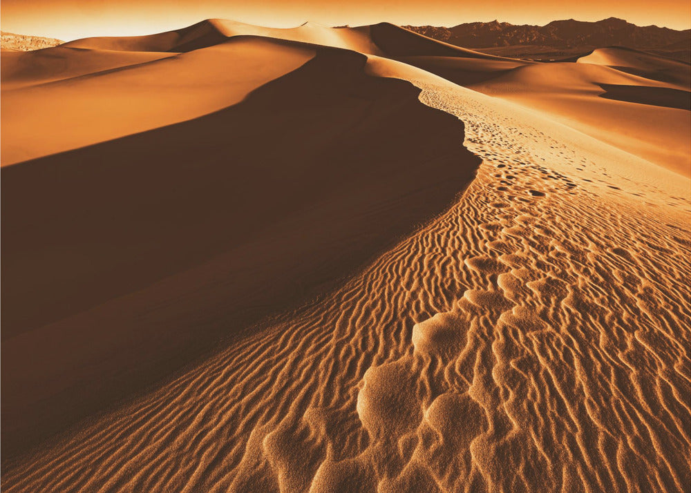 Death Valley | Canvas