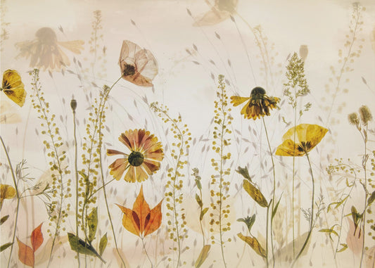 In the field... | Wallpaper