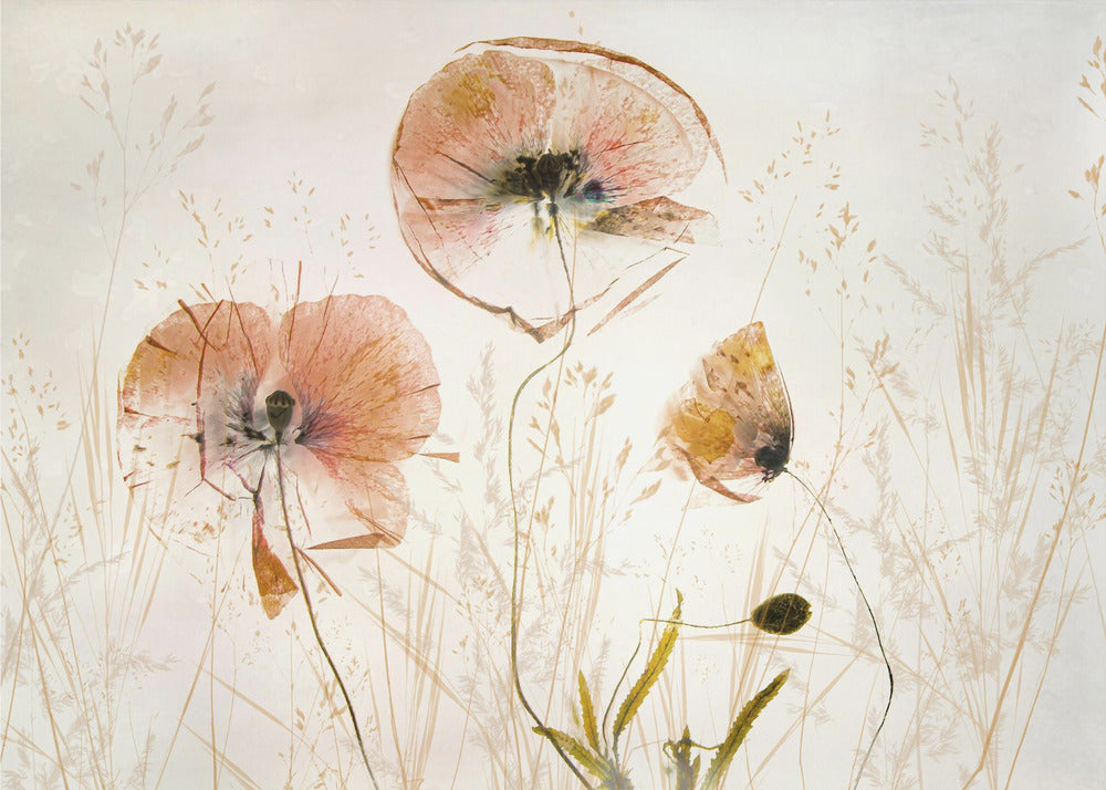 Light and soft | Canvas