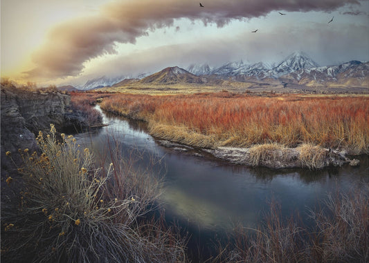 Owens River at Sunrise | Poster