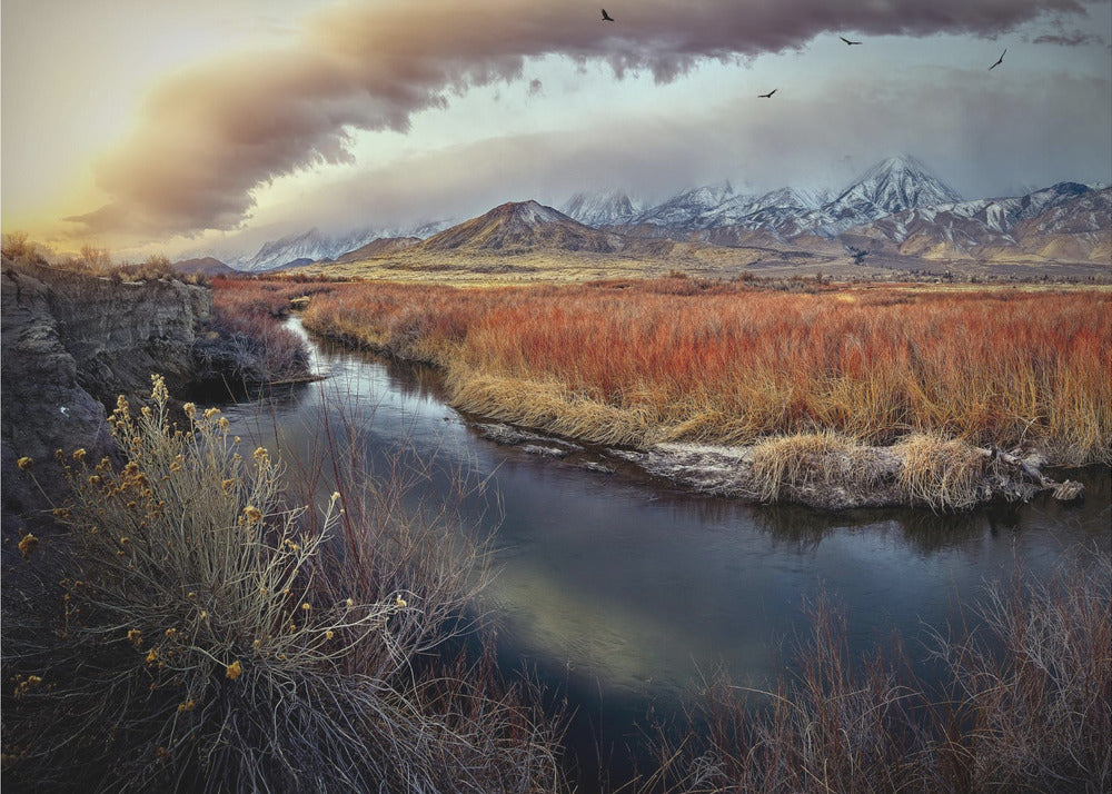 Owens River at Sunrise | Poster