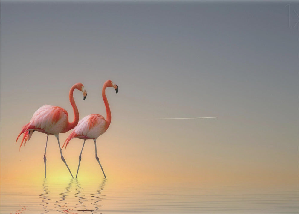 Serenity II | Poster