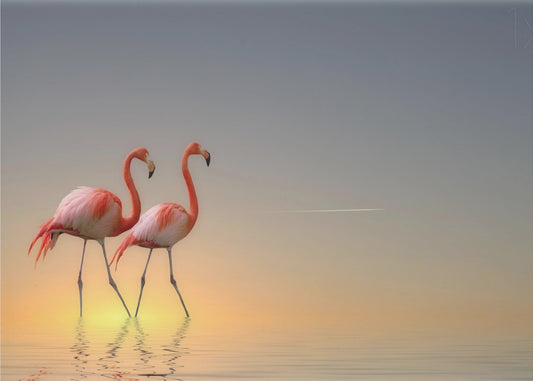 Serenity II | Poster