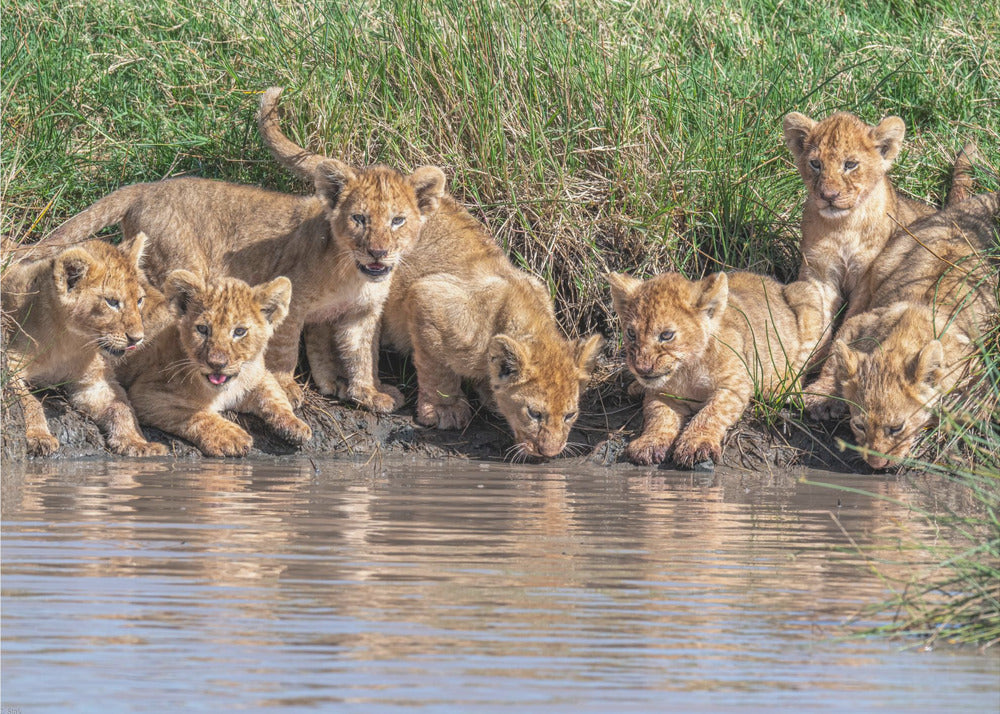 Putting the band back together.... | Canvas