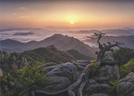 Sunrise on Top | Canvas