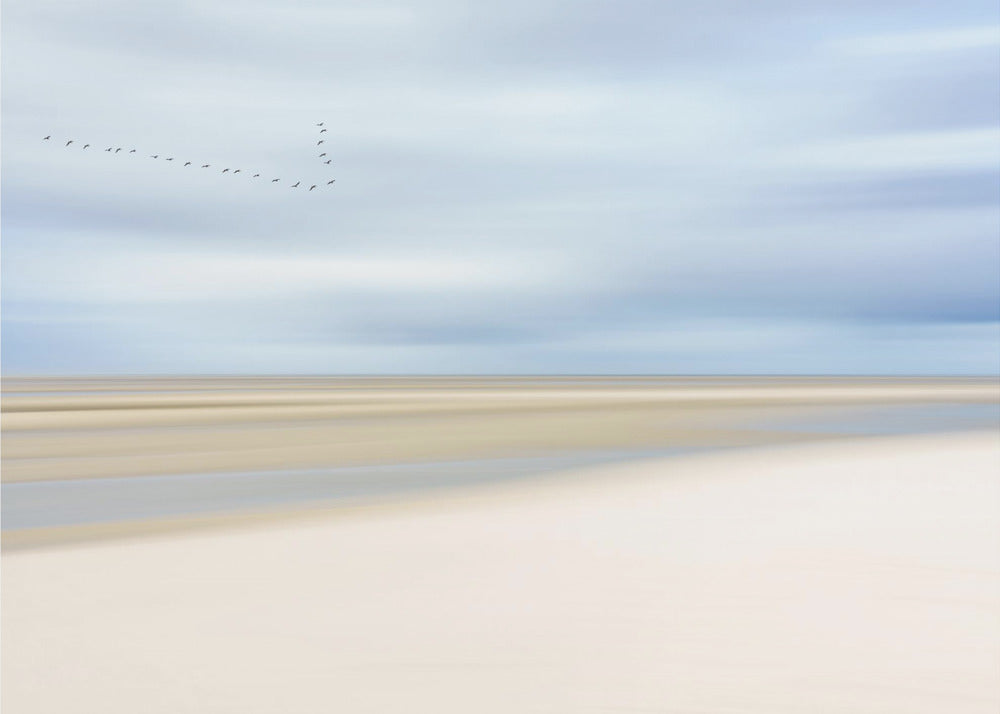 at the ocean III | Poster