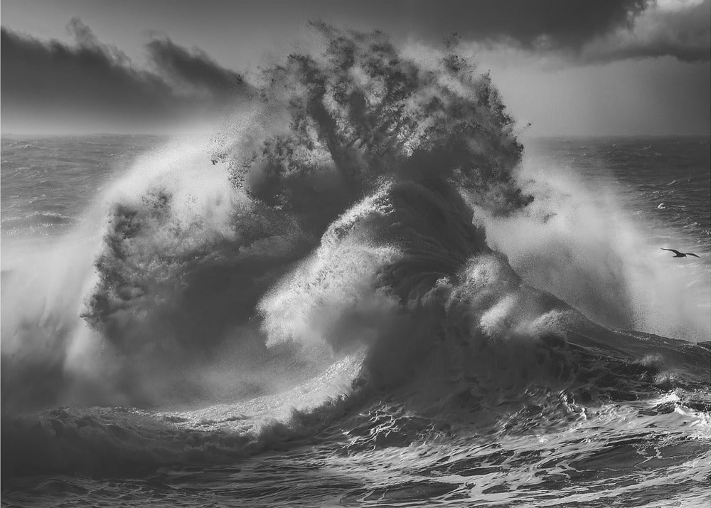 POSEIDON MAJESTY (Part 4) | Wallpaper