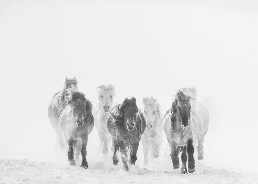 Running in the snow | Wallpaper