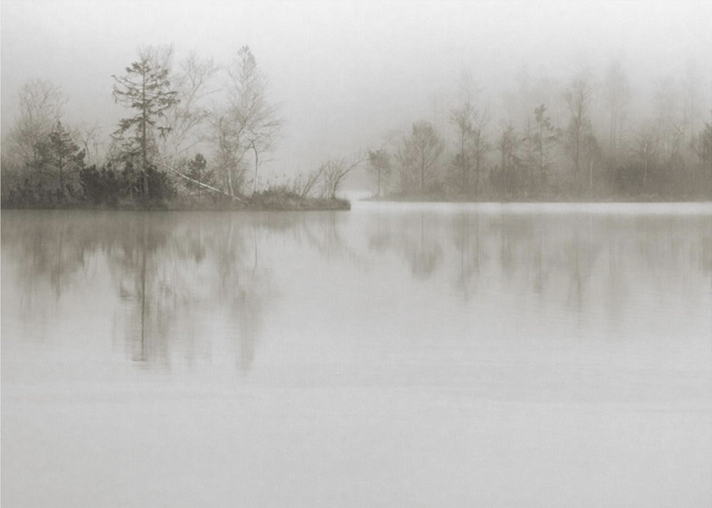 Dissolution | Canvas