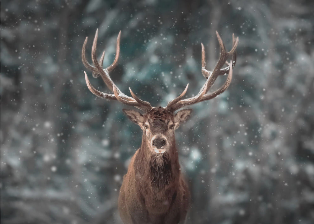 Deer King | Poster