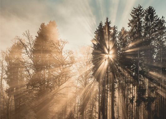 Fading away | Wallpaper