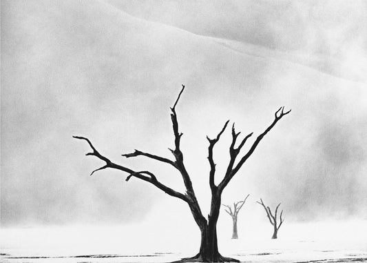 Namibia: The Spirit of Wilderness | Wallpaper