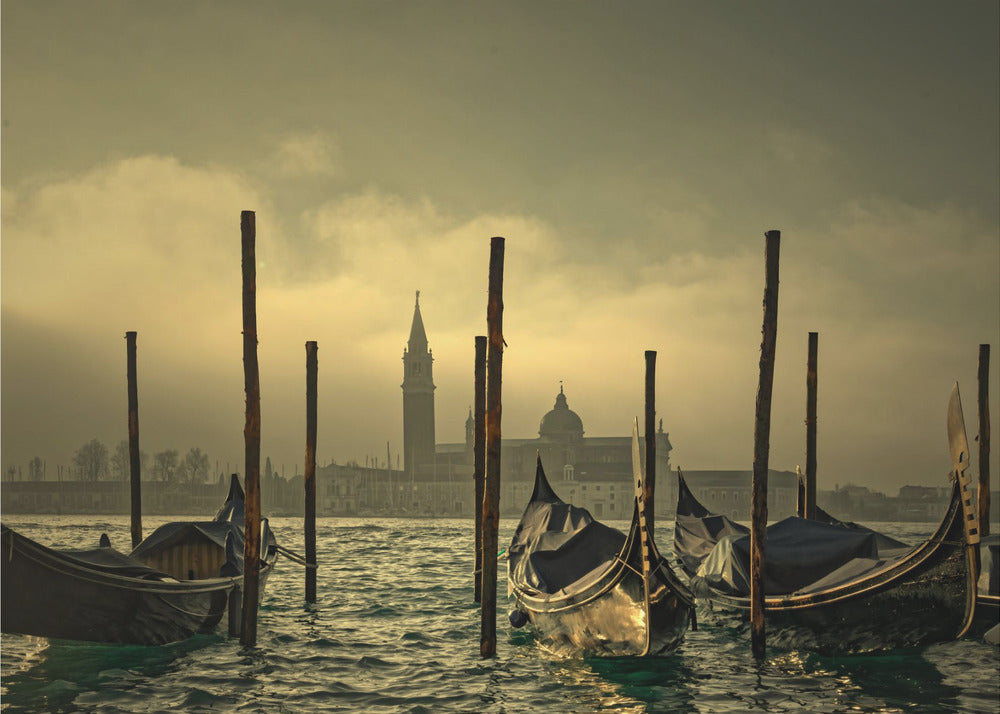 Light in the mist | Wallpaper