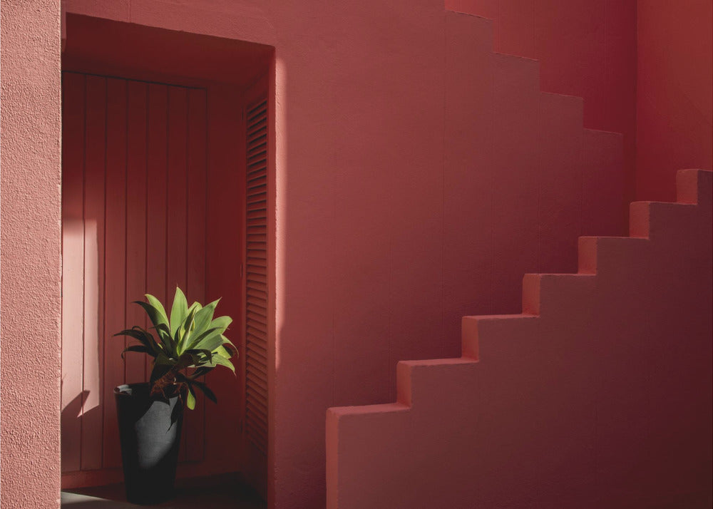 Muralla Roja #6 | Canvas