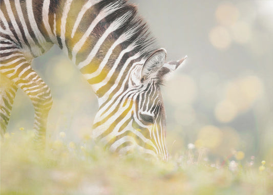 BREAKFAST | Wallpaper