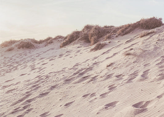 Beach_009 | Wallpaper