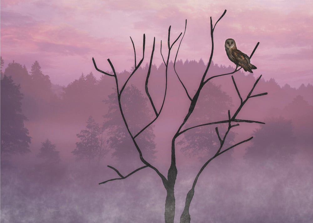 Pink Sky in the Morning | Wallpaper