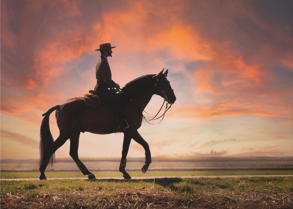 Evening ride | Poster