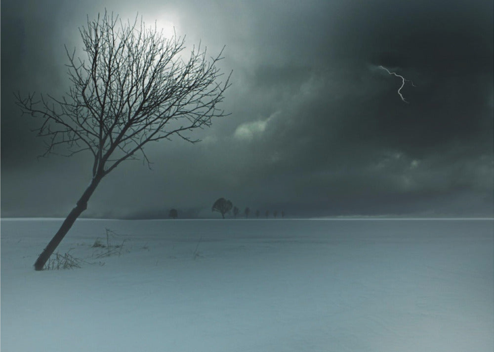 Wintergewitter | Poster