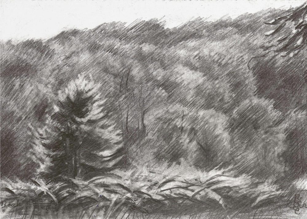 Beek - 21-07-19 | Poster