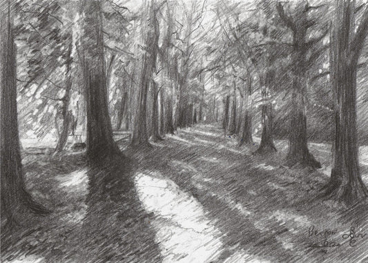 Bergen - 10-04-20 | Canvas