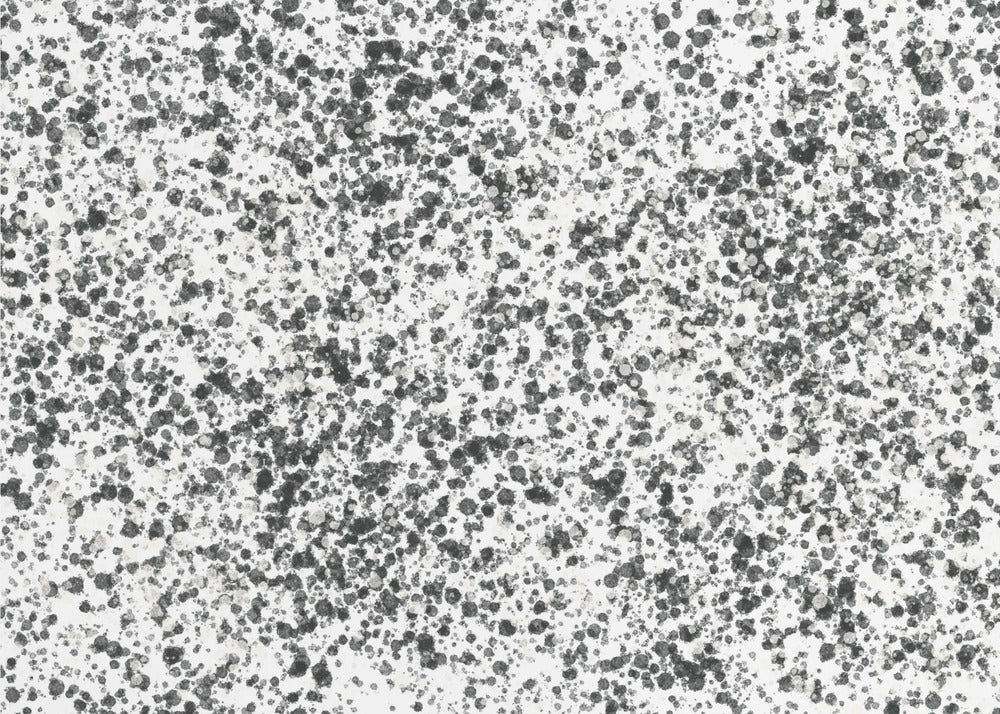 Monochrome Speckles | Canvas