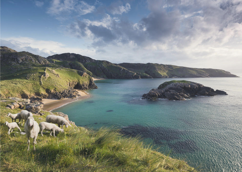 Irish Coast | Poster