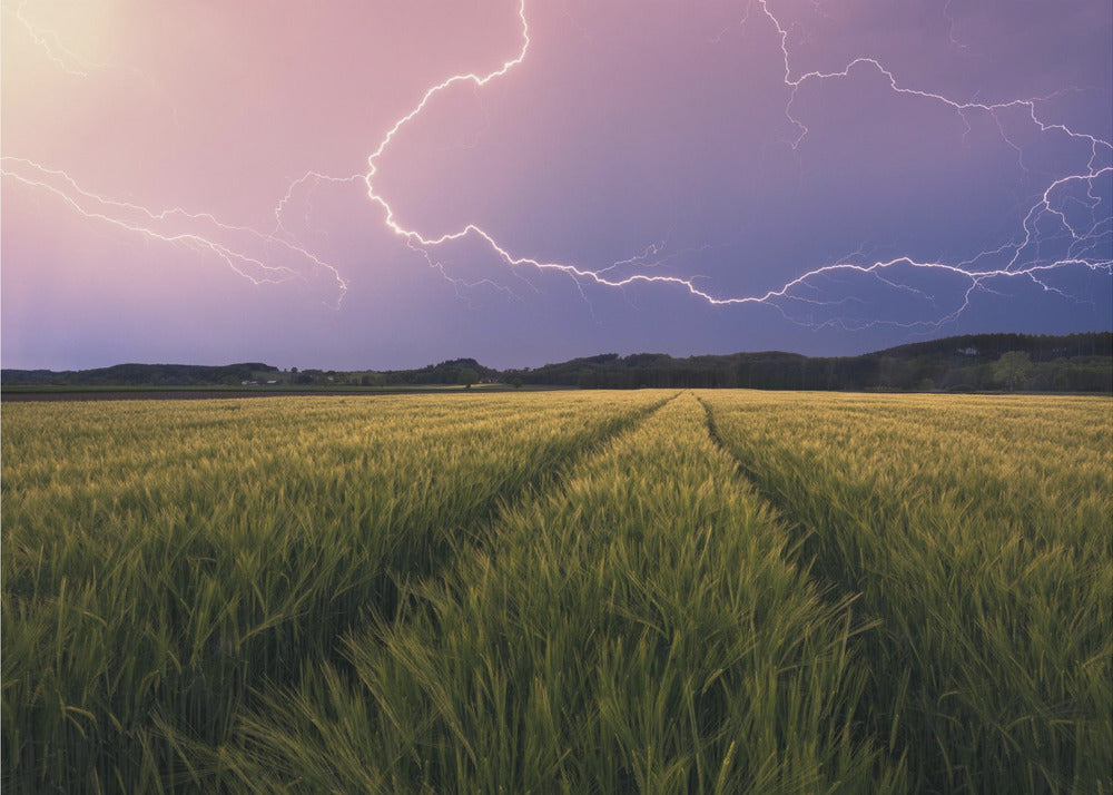 Lightning | Canvas