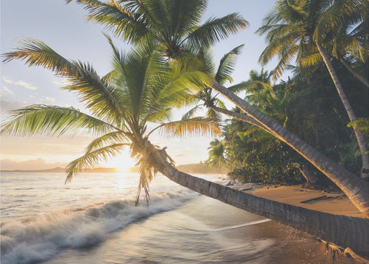 Paradise Shore | Wallpaper
