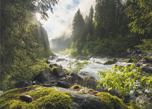 Spring Break | Wallpaper