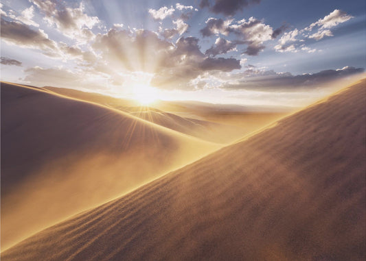 Gently Touched | Wallpaper