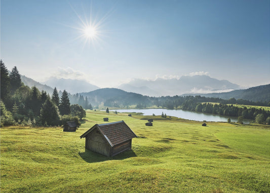 Summer Meadow | Wallpaper