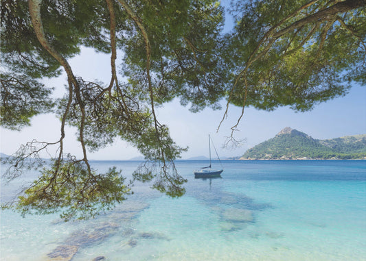 Dreaming of the Sea | Wallpaper