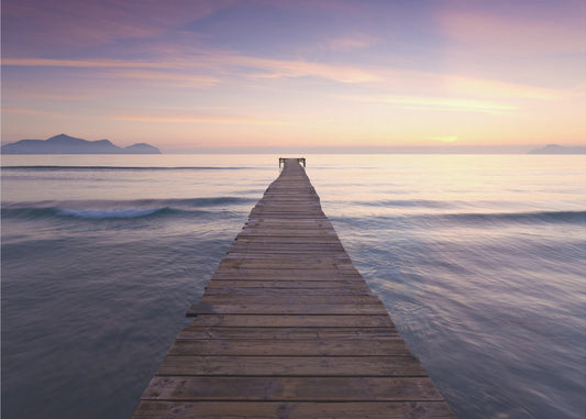 Purple Jetty | Wallpaper