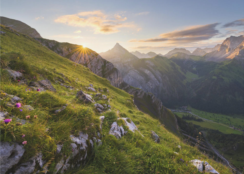 Summer Meadow | Wallpaper