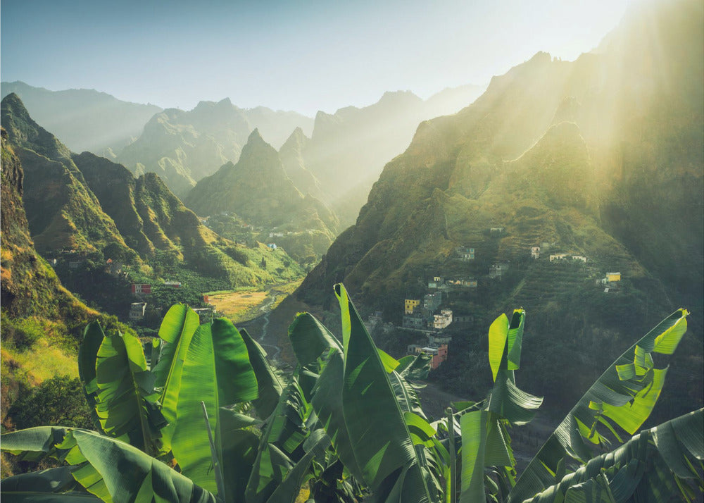 Green Valley | Canvas