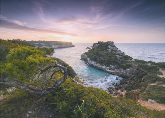 Baydreams | Wallpaper