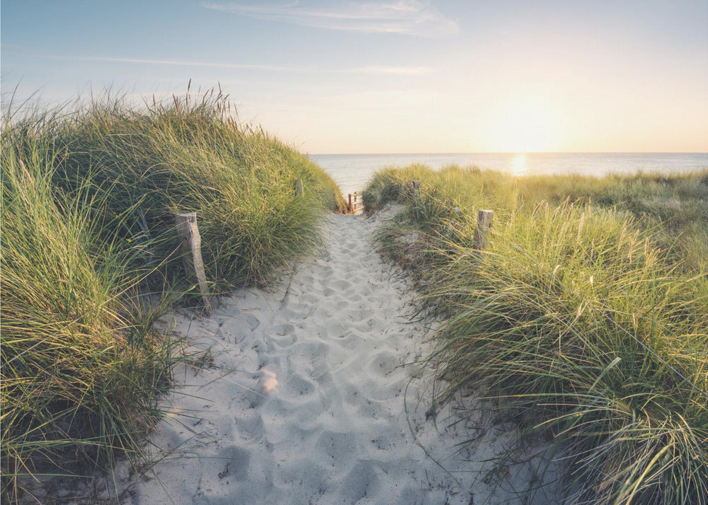 To the Beach | Wallpaper