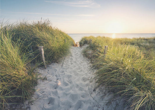 To the Beach | Wallpaper