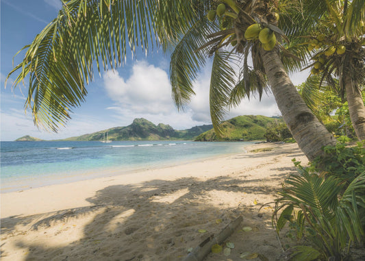 South Sea | Wallpaper