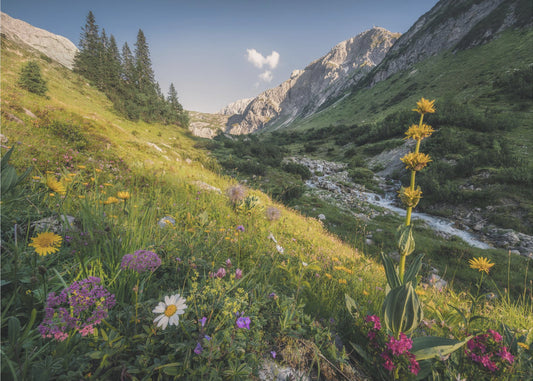 Garden Eden | Wallpaper