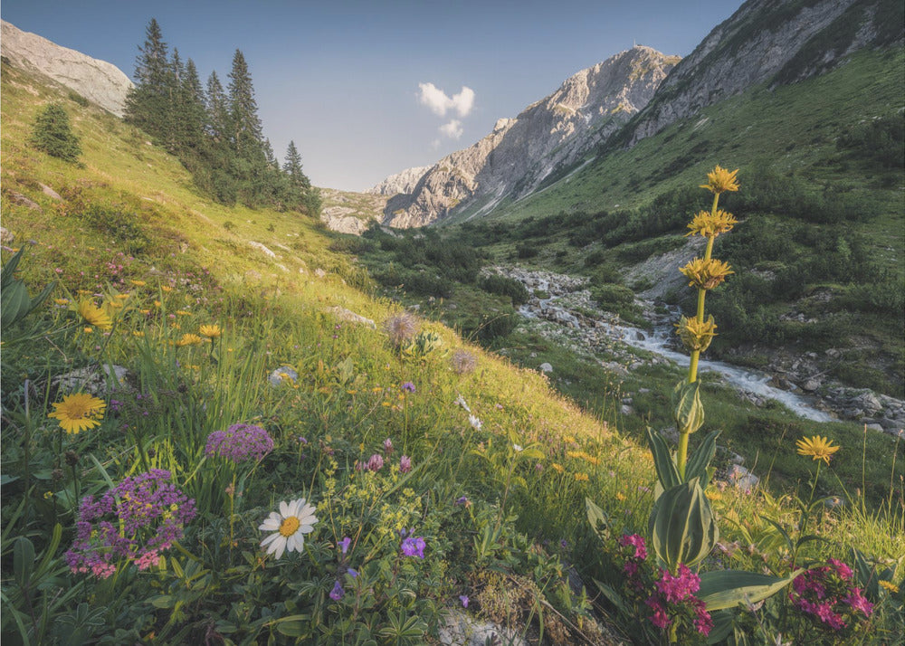 Garden Eden | Canvas