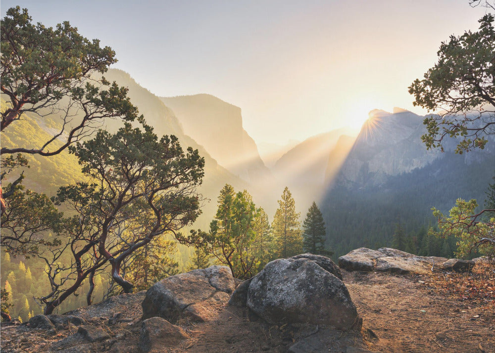 Yosemites Secret | Wallpaper