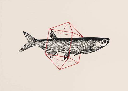 Fish In Geometrics Nº2 | Wallpaper