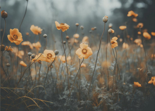 Golden Poppy Dream | Wallpaper