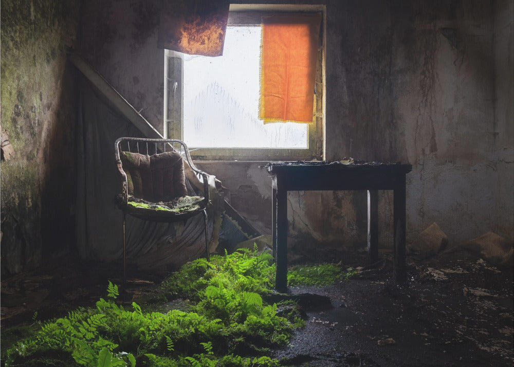 Plants in Line | Canvas