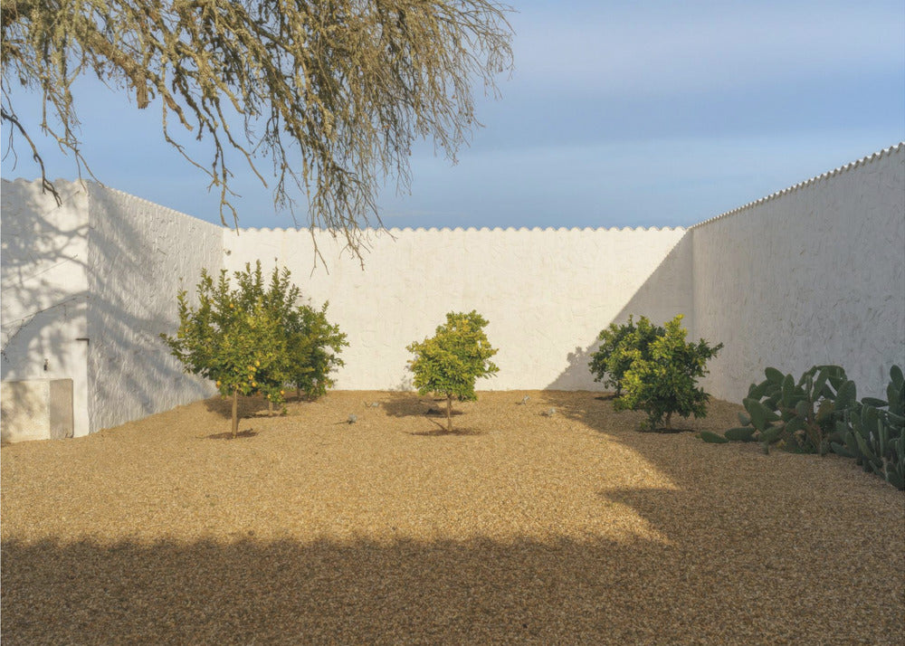 Casadavolta | Canvas